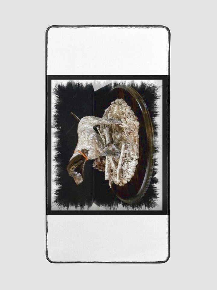 German Shorthair Pointer product image (2)