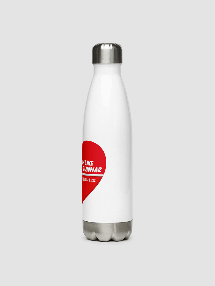 Stainless Steel Water Bottle product image (2)
