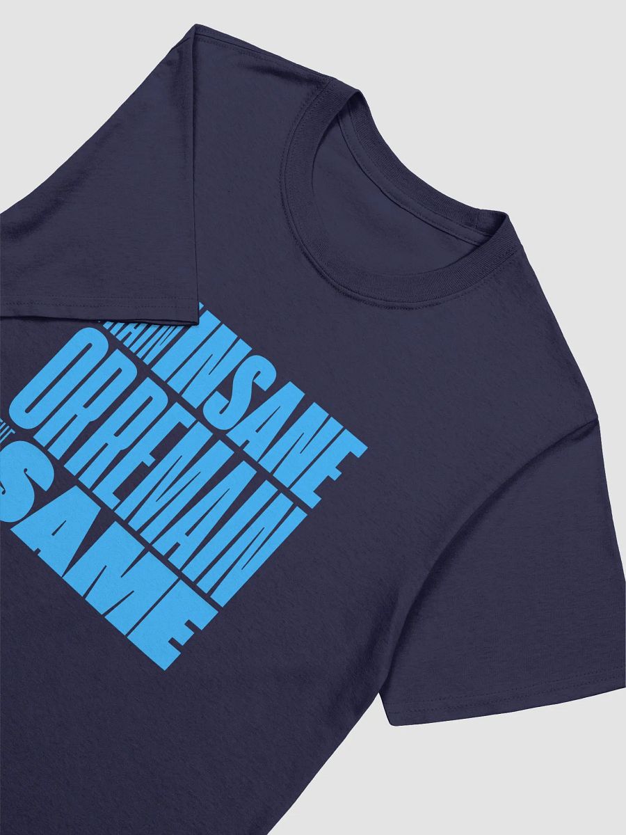 TRAIN INSANE OR REMAIN THE SAME TEE product image (27)