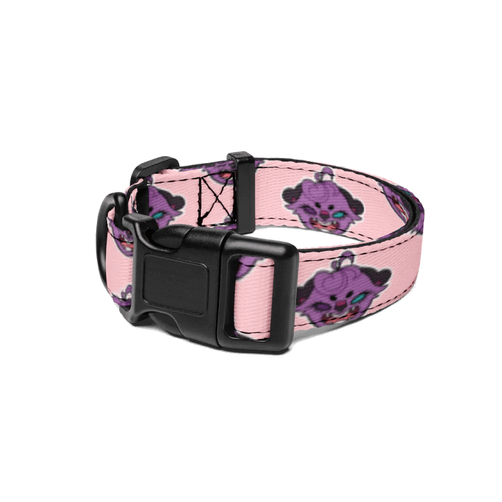 NaniOtter Pet Collar product image (1)