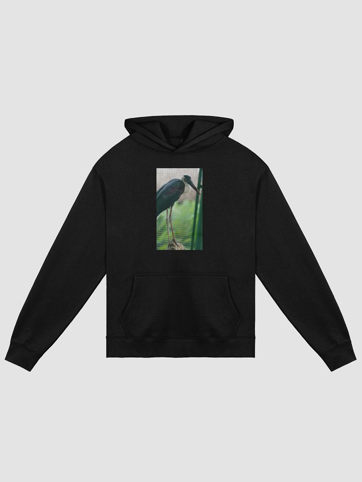 Majestic Avian Oversized Hoodie product image (1)