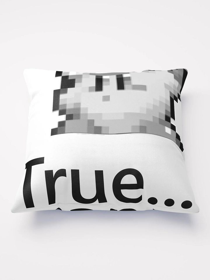 True... Pillow product image (1)