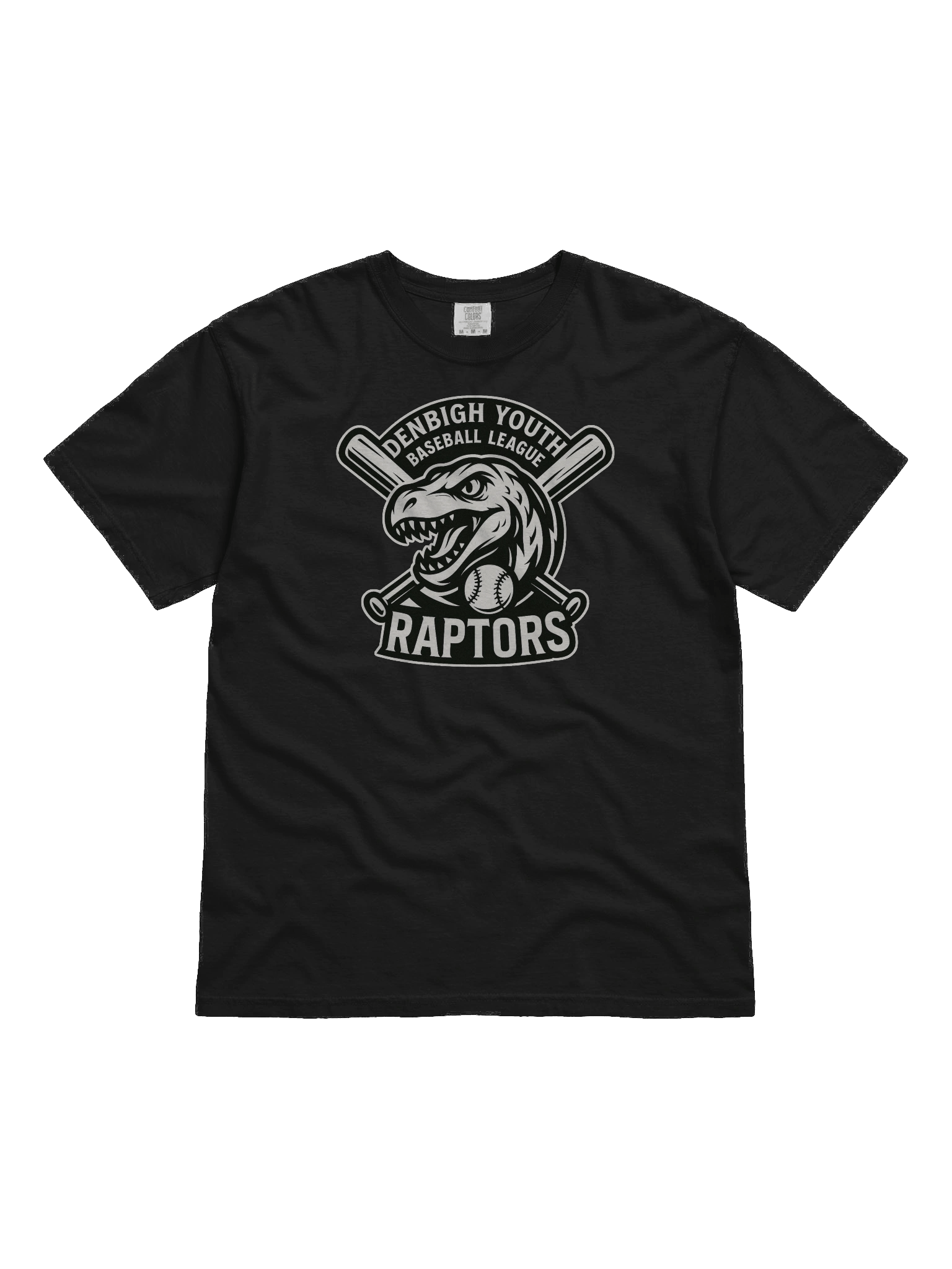 Raptors - Heavyweight T-shirt product image (7)