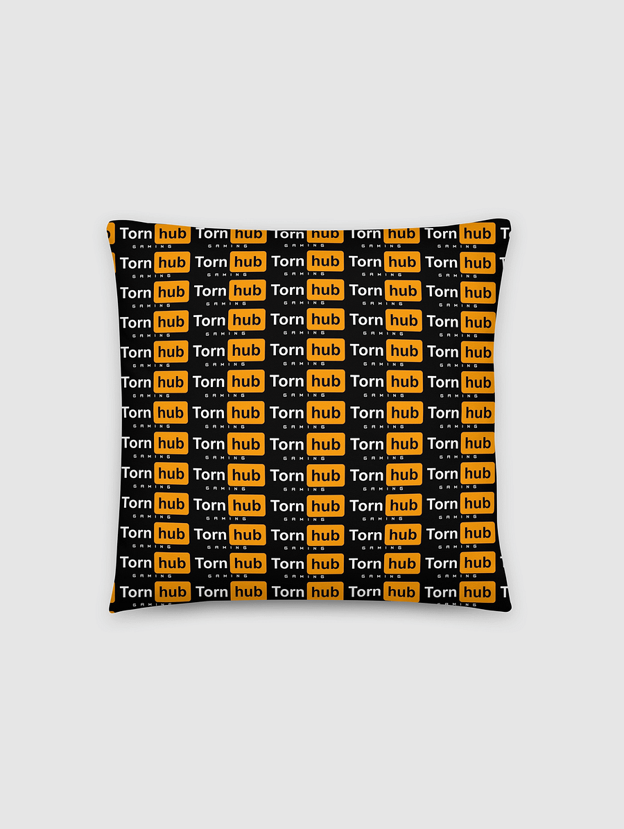 Throw Pillow product image (2)