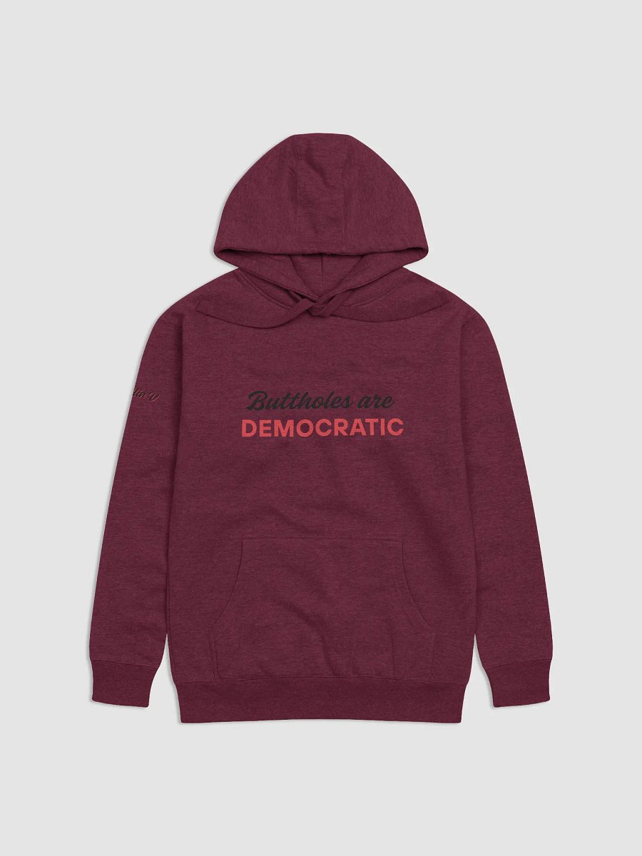 Buttholes are Democratic Hoodie product image (1)