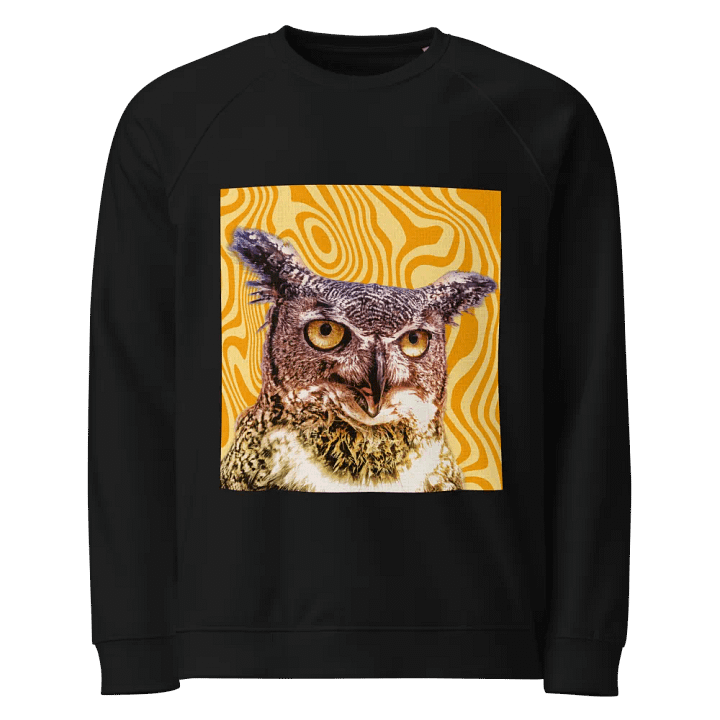 Snazzy Owl Organic Cotton Raglan Sweatshirt product image (1)