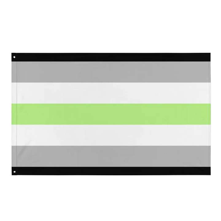 Agender Flag product image (1)
