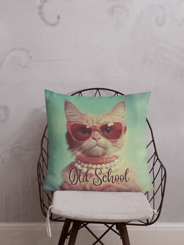 Old School Sass: Decorative Pillow product image (3)