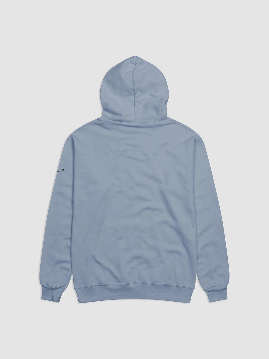 Dribble Hoodie - Unisex product image (6)