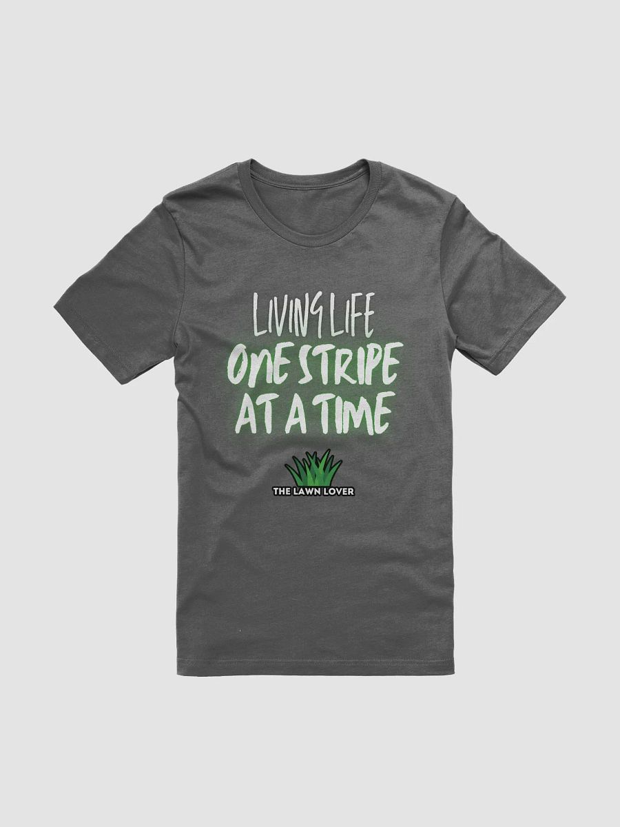 Living Life One Stripe at a Time T-Shirt product image (1)