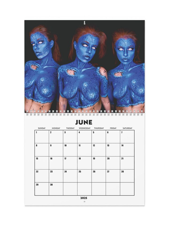 12 Month Calendar {June 2025- May 2026} product image (1)