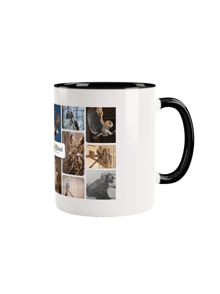 Birds of WBS product image (2)