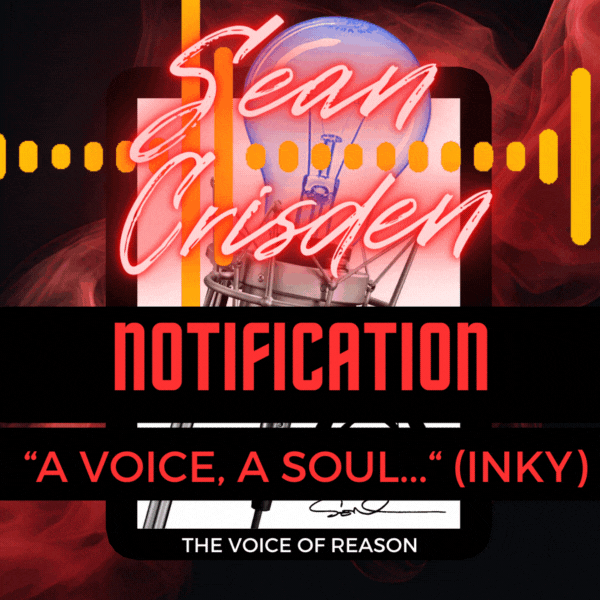Audio Notification - 