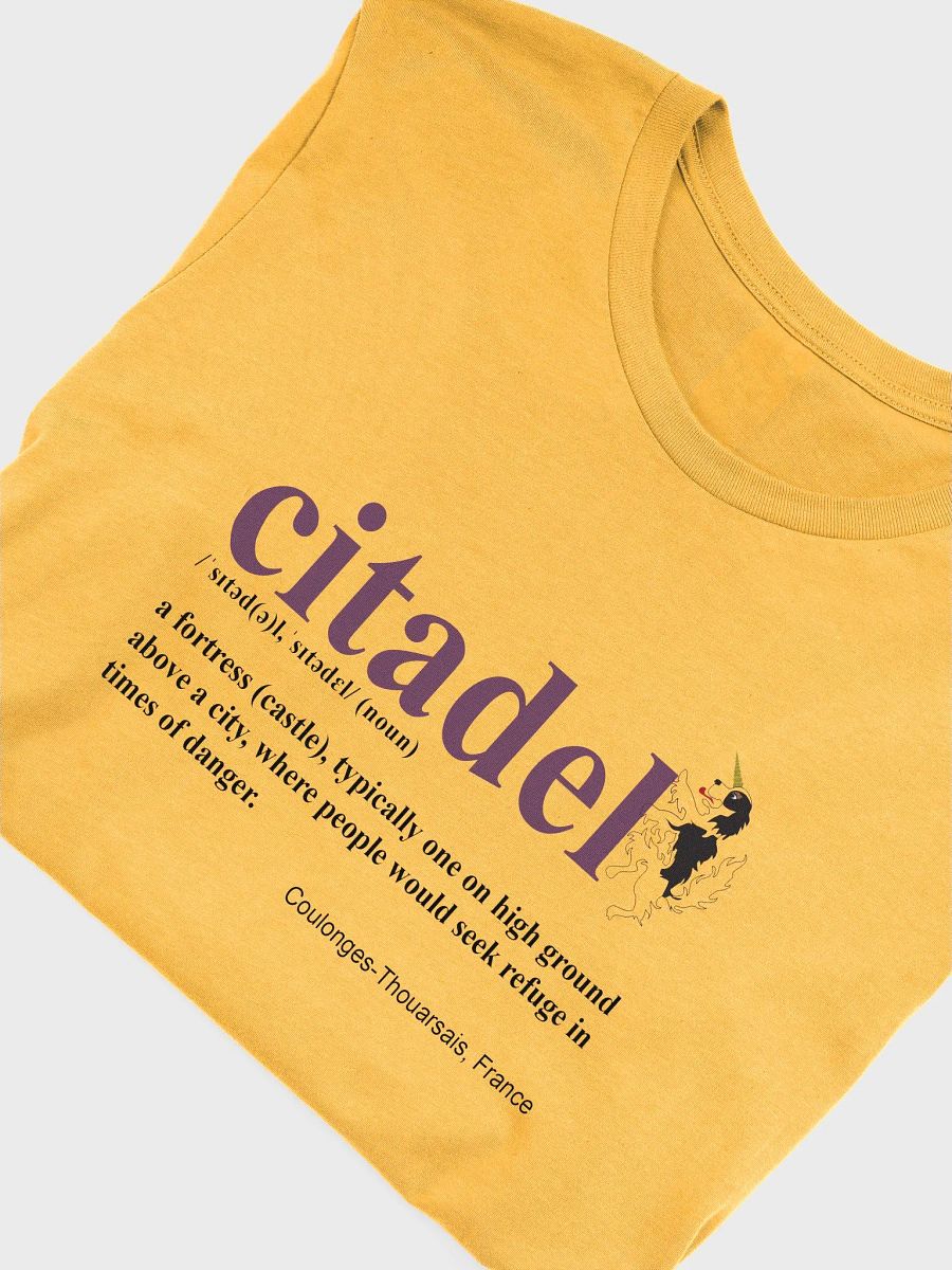 Supersoft T-Shirt with Citadel Definition In English product image (5)