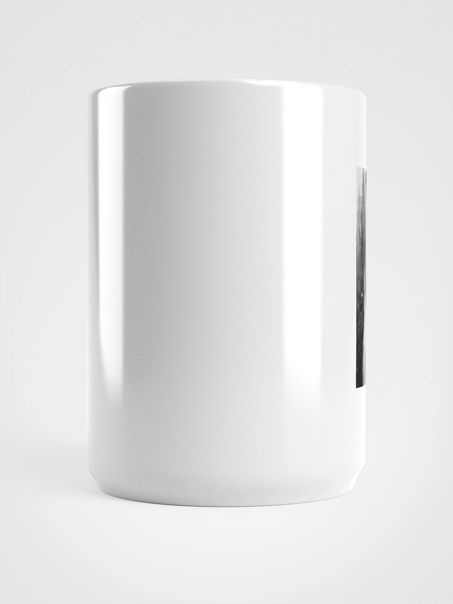 Cat product image (5)