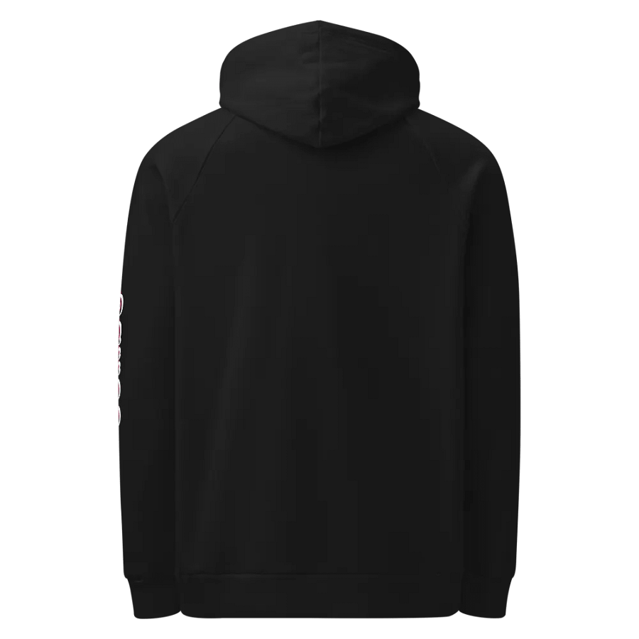 Boni Faas Condo Merch / Under Armour® Hoodie product image (4)