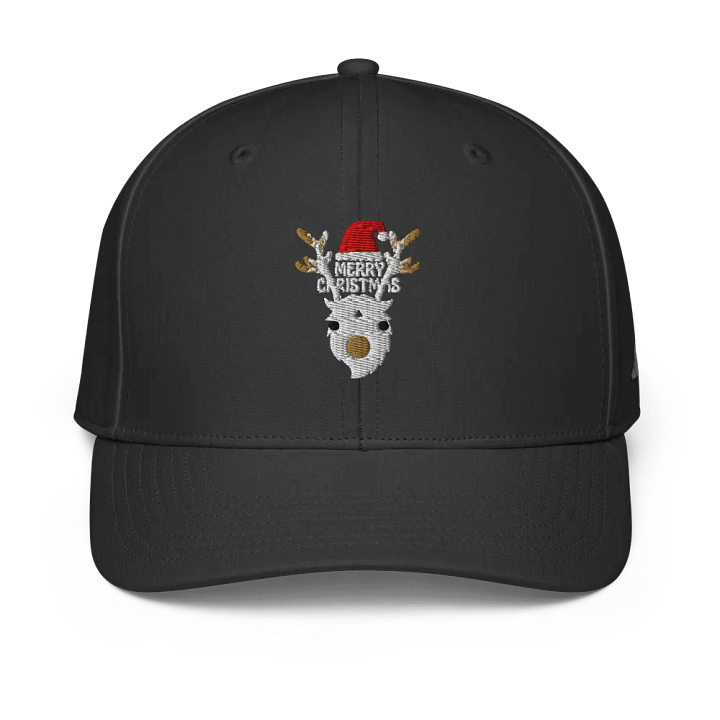 Festive Reindeer Santa Hat product image (1)