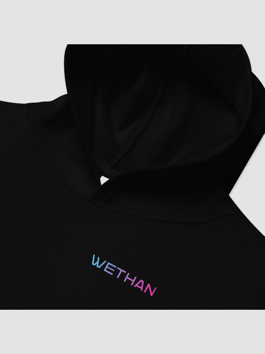 Classic Wethan Logo Hoodie (Youth) product image (1)