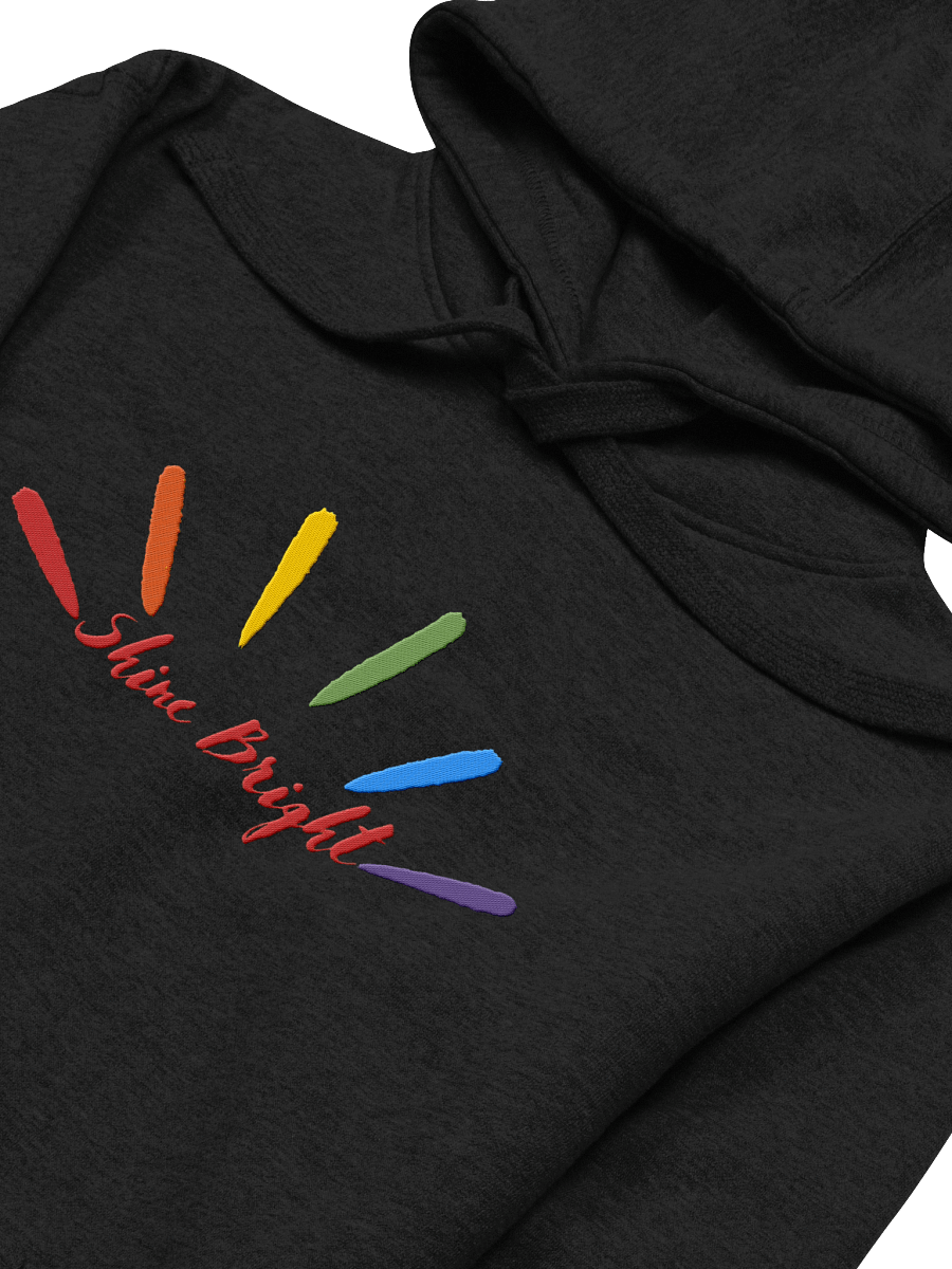Shine Bright LGBTQ Hoodie product image (3)