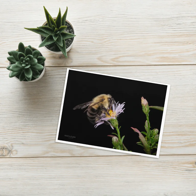 Bee Bliss Greeting Card product image (1)