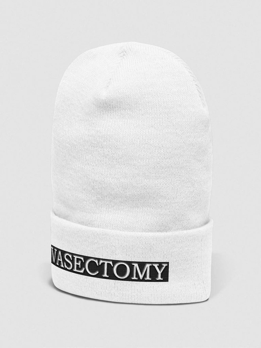 Box Logo Beanie product image (3)