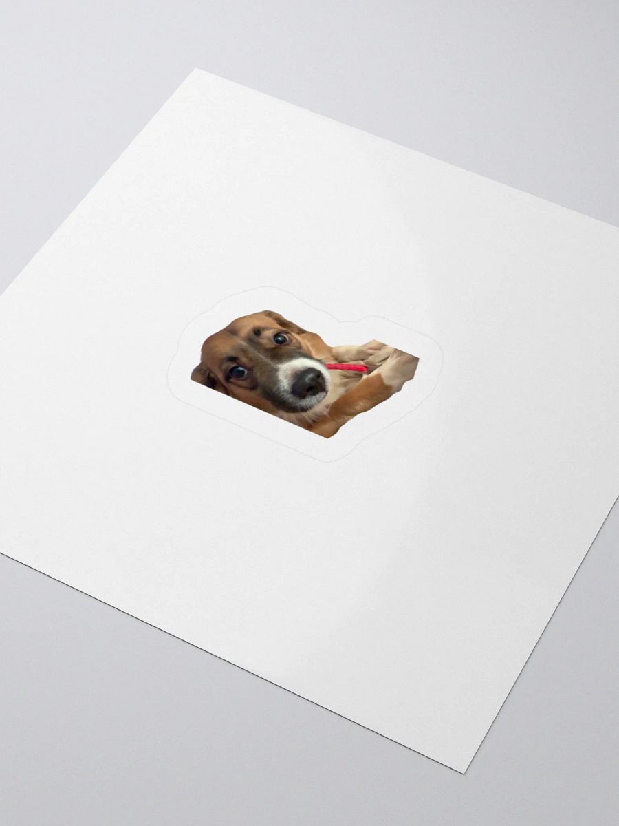 Harry Stickers - Licorice product image (9)