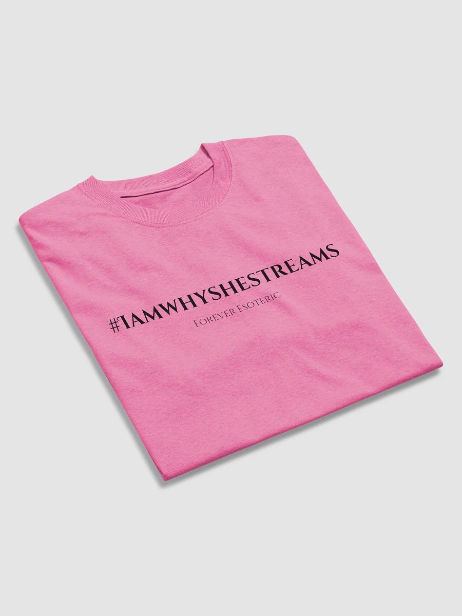 IAWSS Tee (Black Text) product image (26)