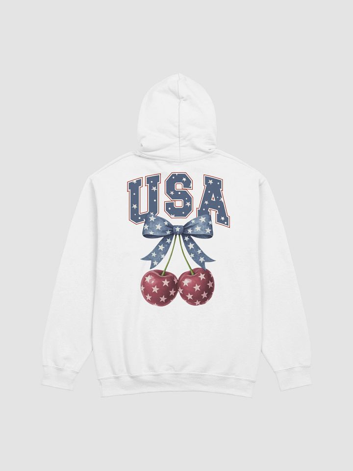 Starry USA Classic Hoodie product image (2)