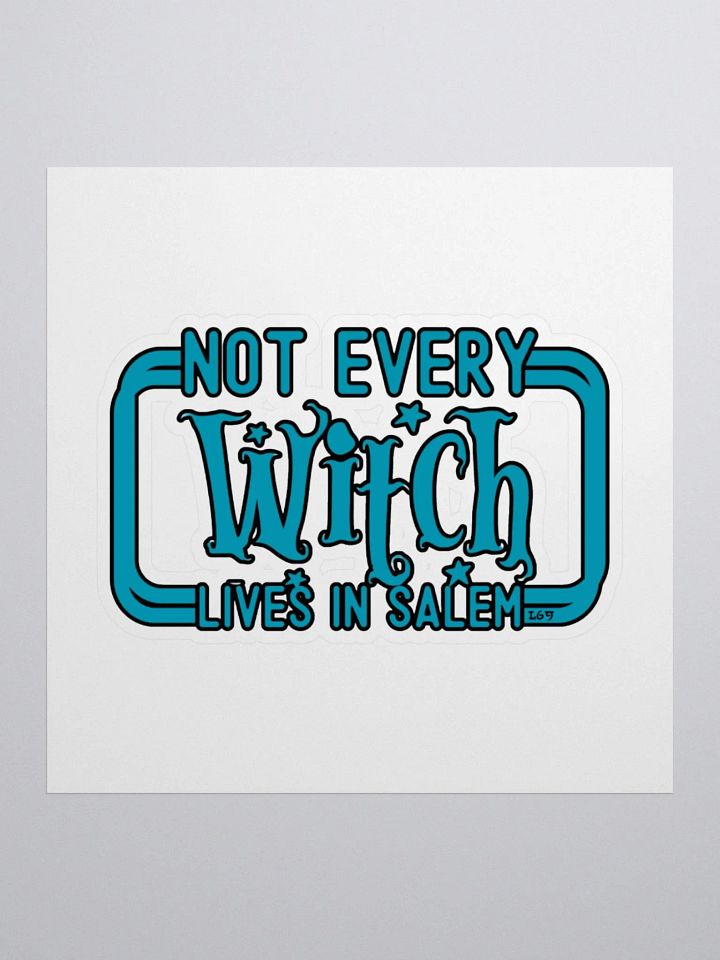 NOT EVERY WITCH LIVES IN SALEM product image (3)
