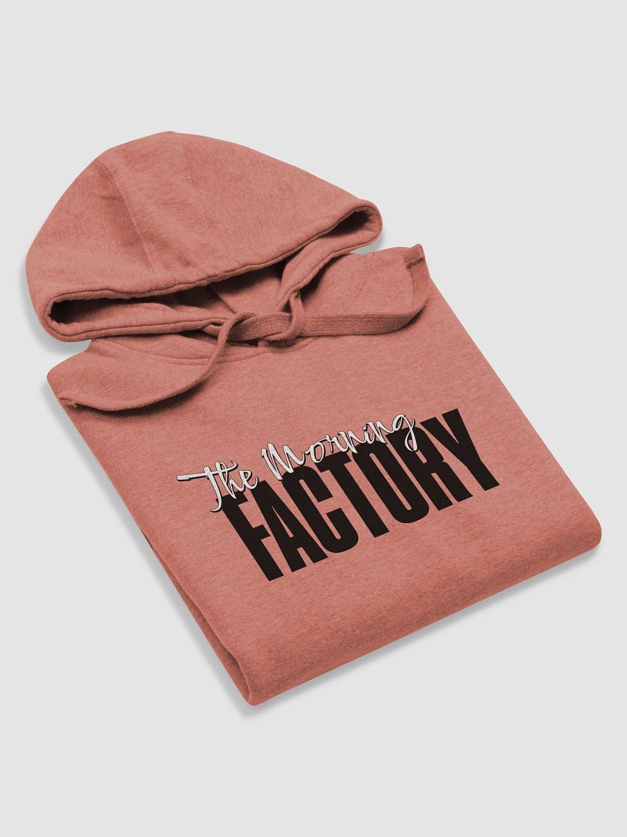Big Fact -Unisex Premium Hoodie product image (20)