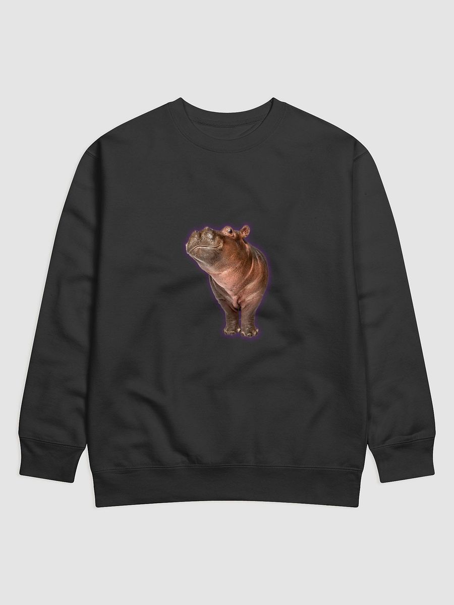 solo hippo product image (1)