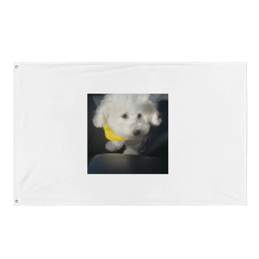 snowball flag product image (1)