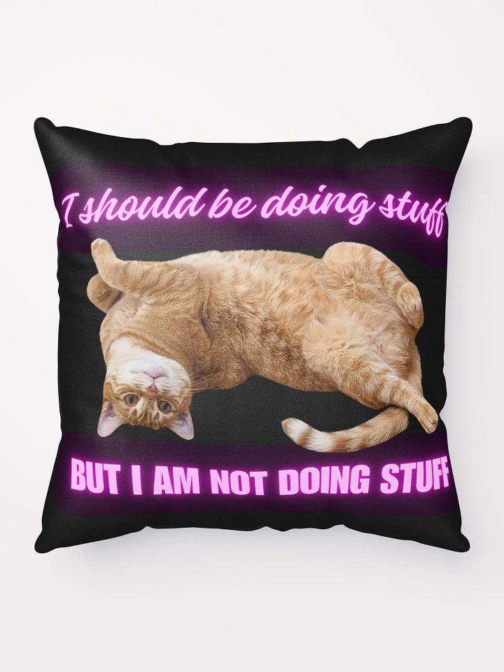 Cat Pillow product image (1)