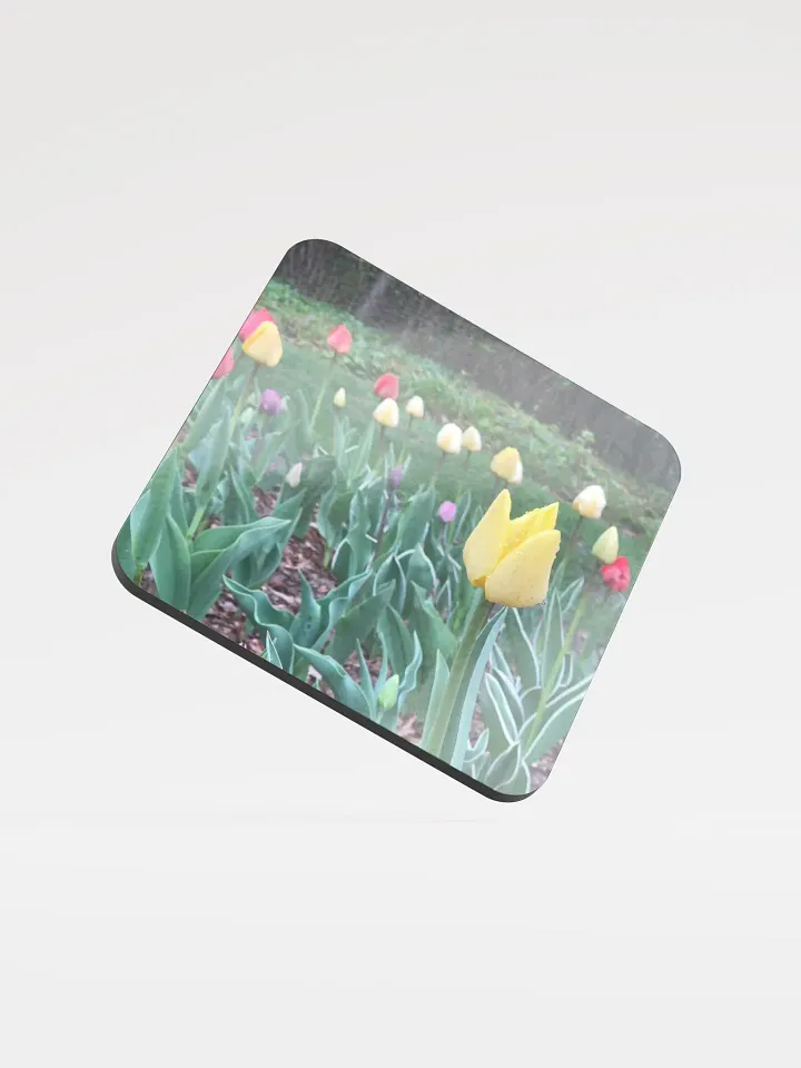 Tulips in the Spring Cork Coaster product image (1)
