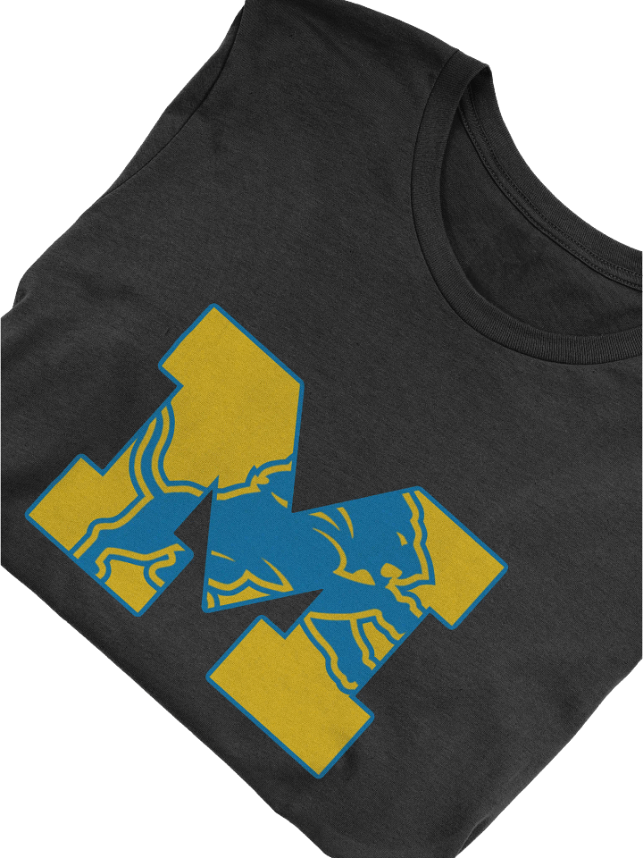 Michigan Lions Premium product image (2)