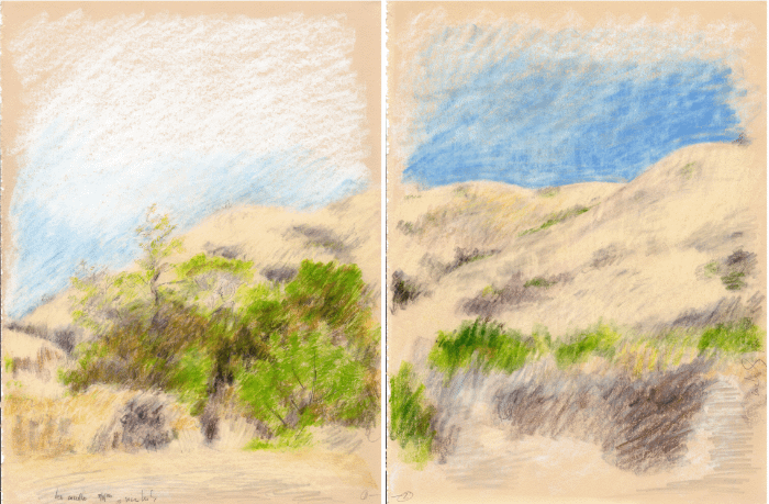 Leo Carillo State Park, CA #1 & #2 09.08.86 print product image (1)