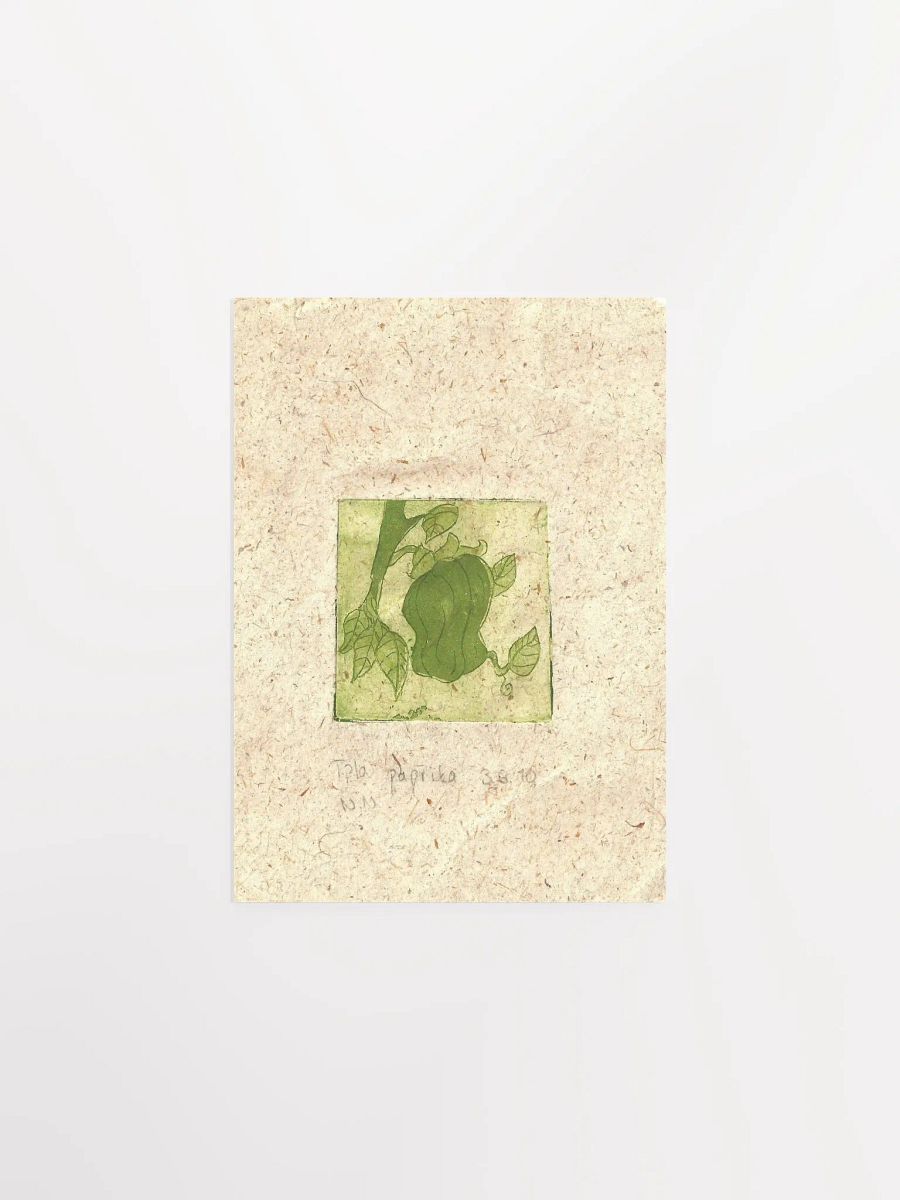 Green Paprika, Botanical Art Print product image (3)