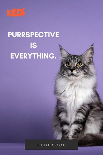 Cat Aesthetic Fashion for the Mindful & Wild

Express your true self with cat aesthetic fashion made for movement, magic, and...
