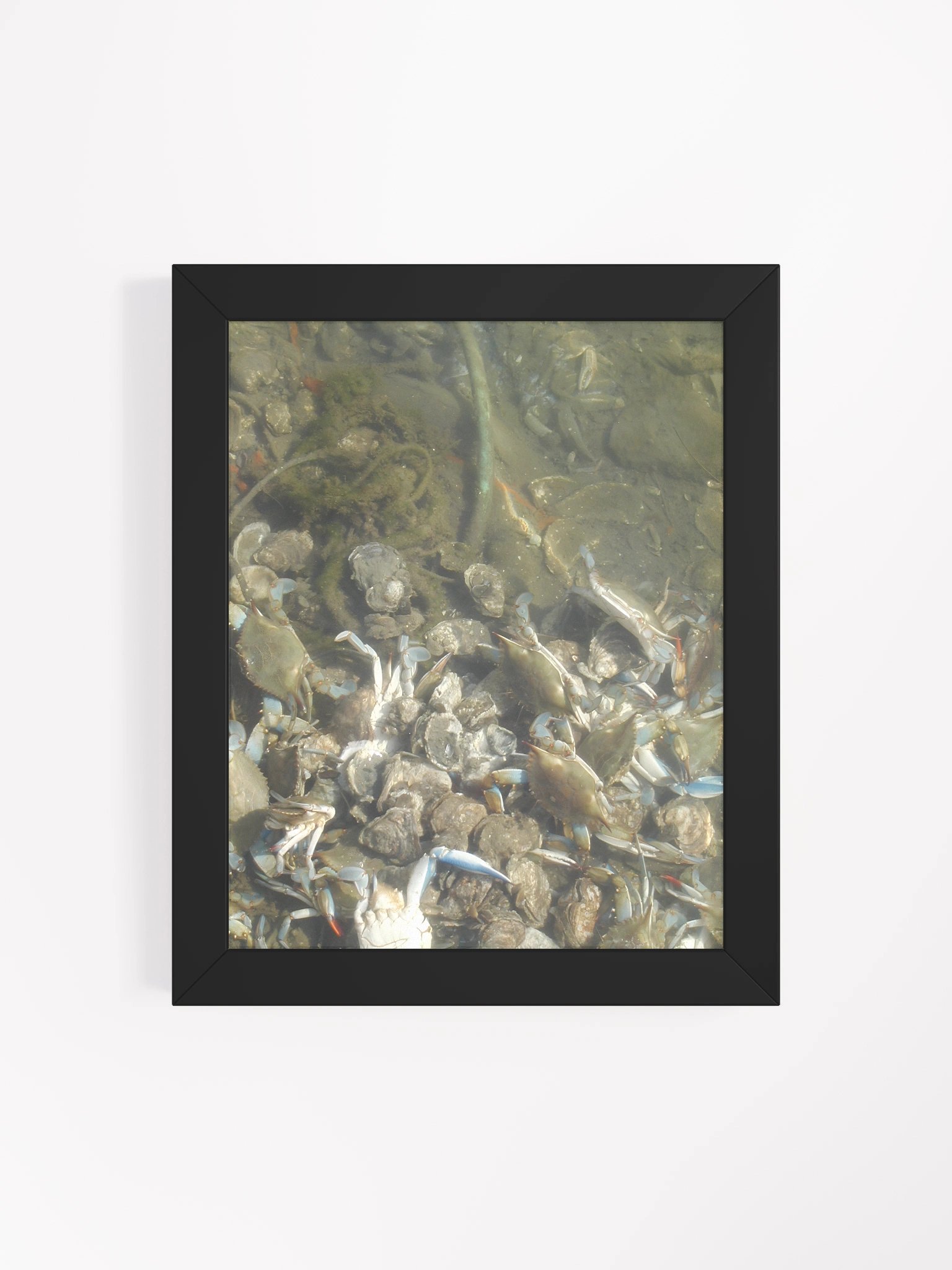 Murky Marine Life Framed Poster product image (60)