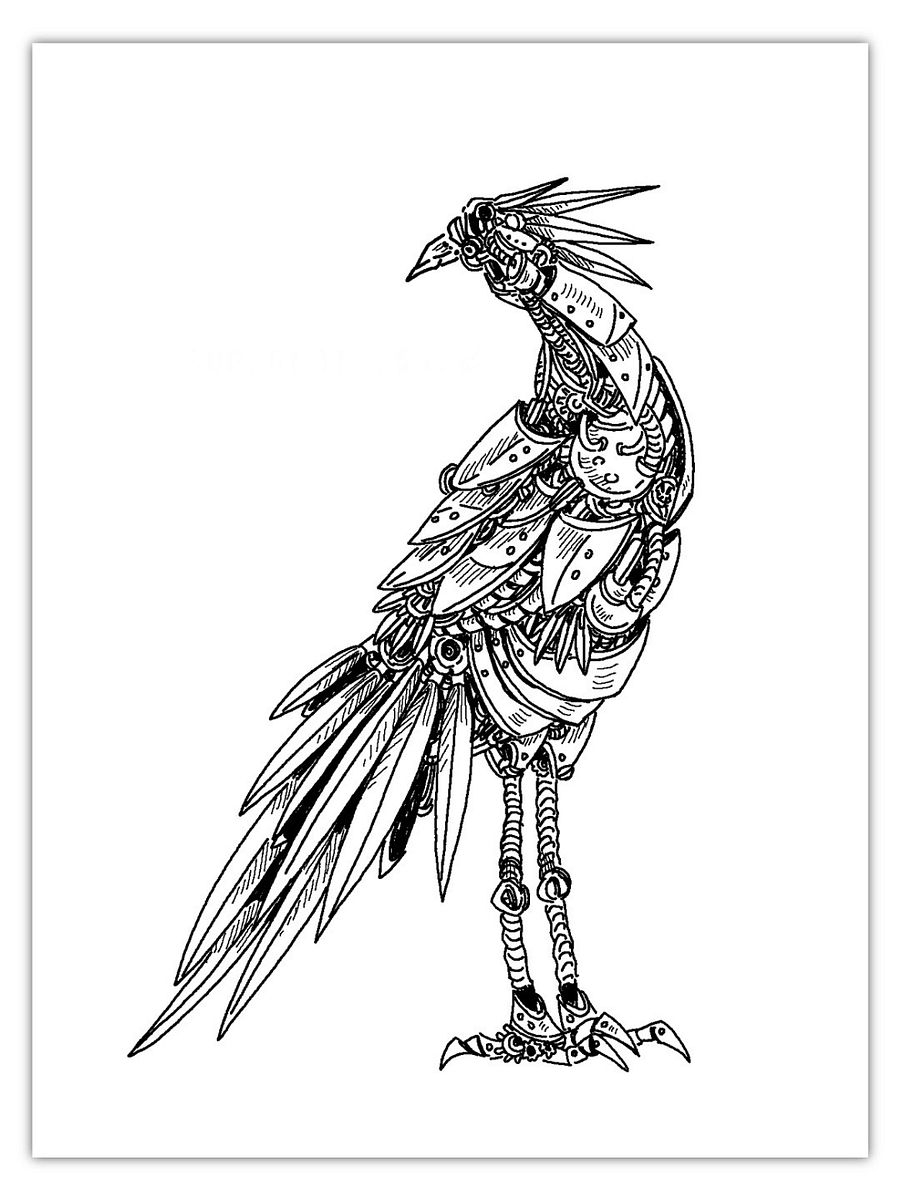 A5/A6 Steampunk Birds & Manta Screensavers (FREE DOWNLOAD) product image (3)