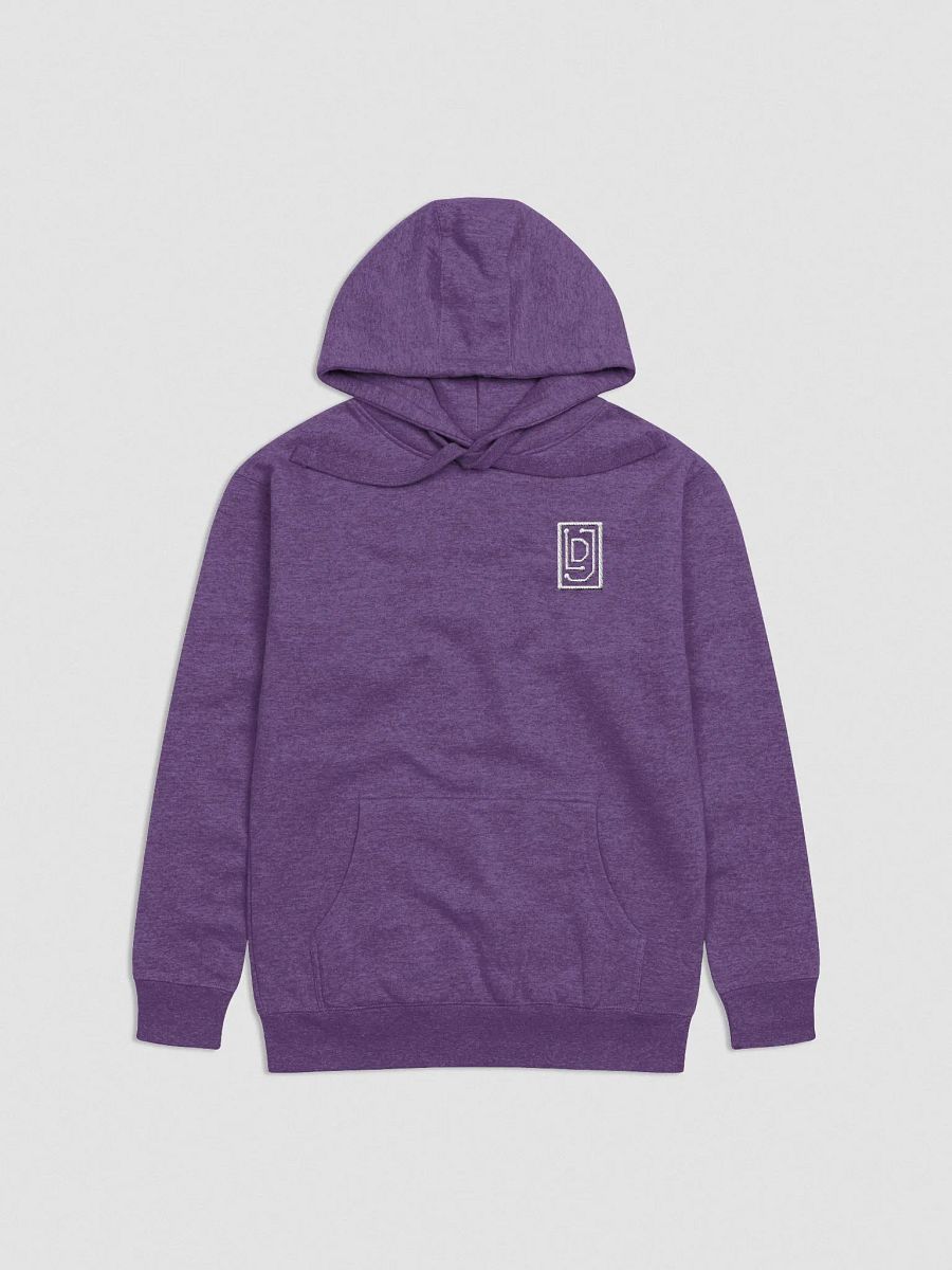 LDJ Embroidered Hoodie product image (31)