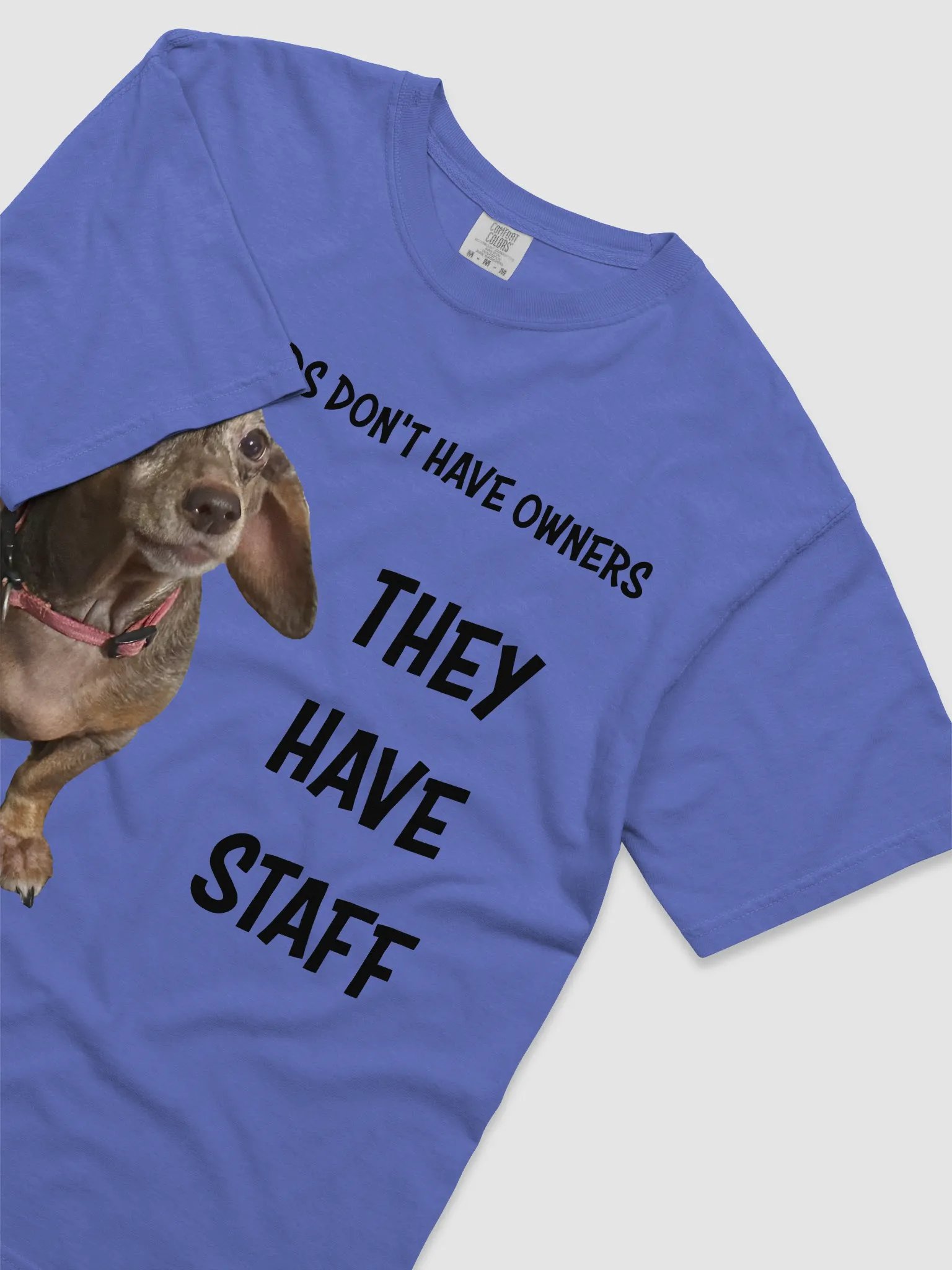 Dachshunds Have Staff product image (37)