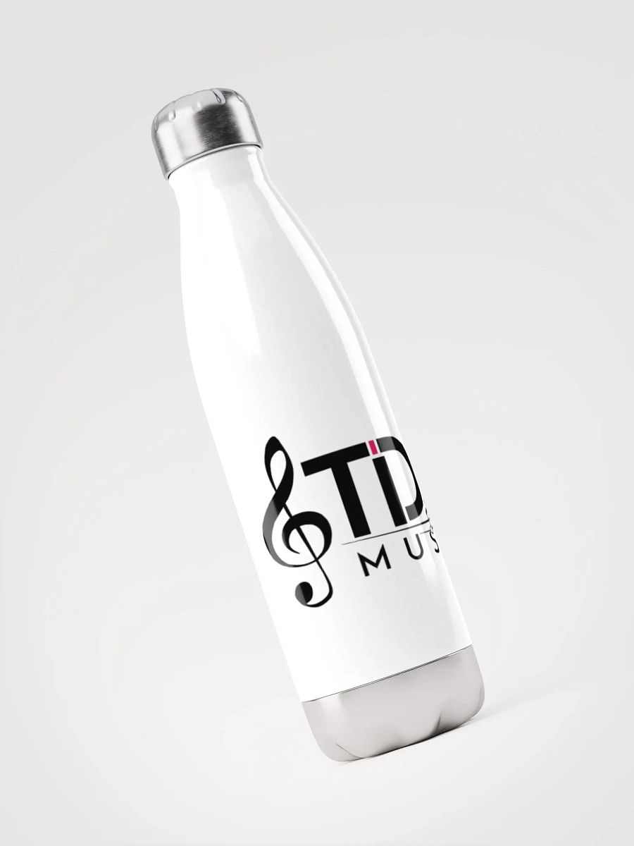 TDS Music Insulated Stainless Steel Water Bottle - 17oz, White product image (3)