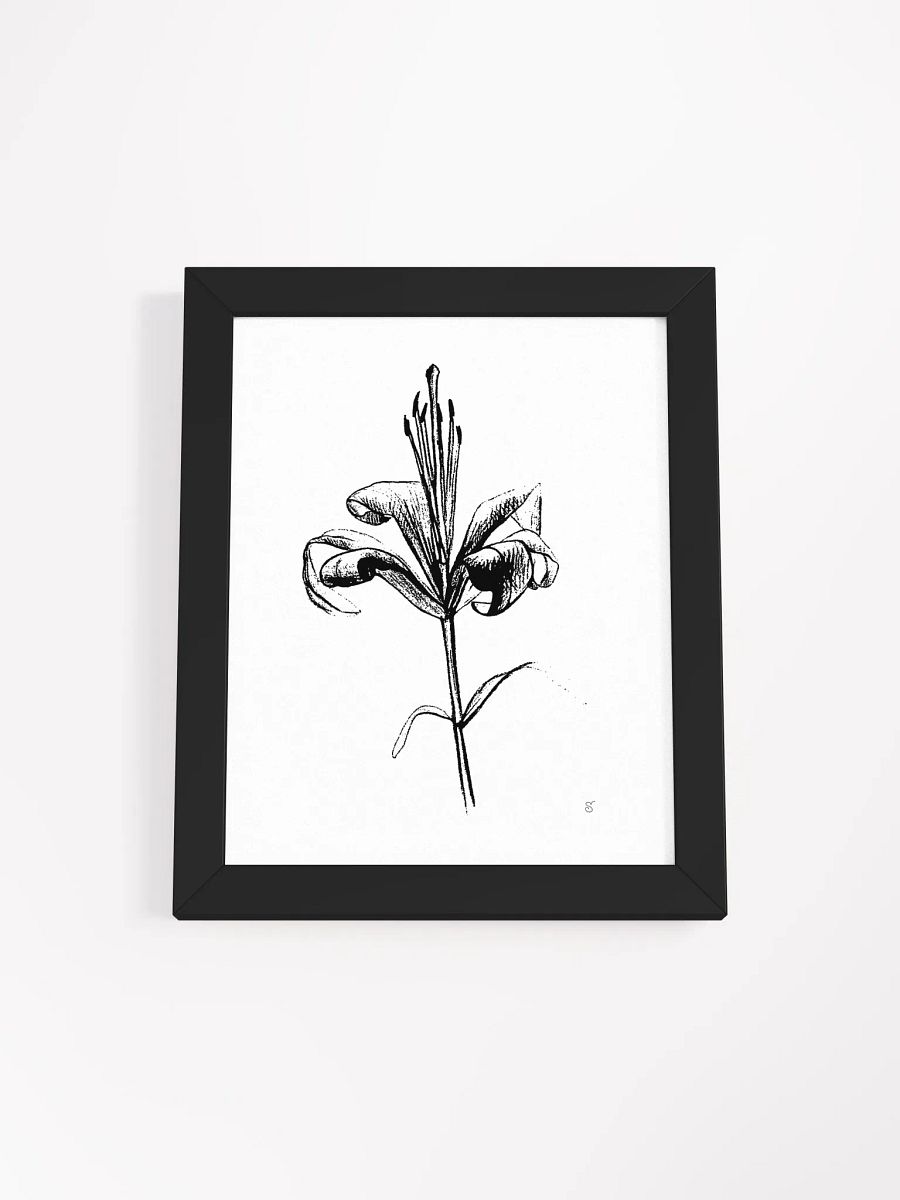 Elegant Lily Bloom Framed Poster - Fine Flower Light product image (3)