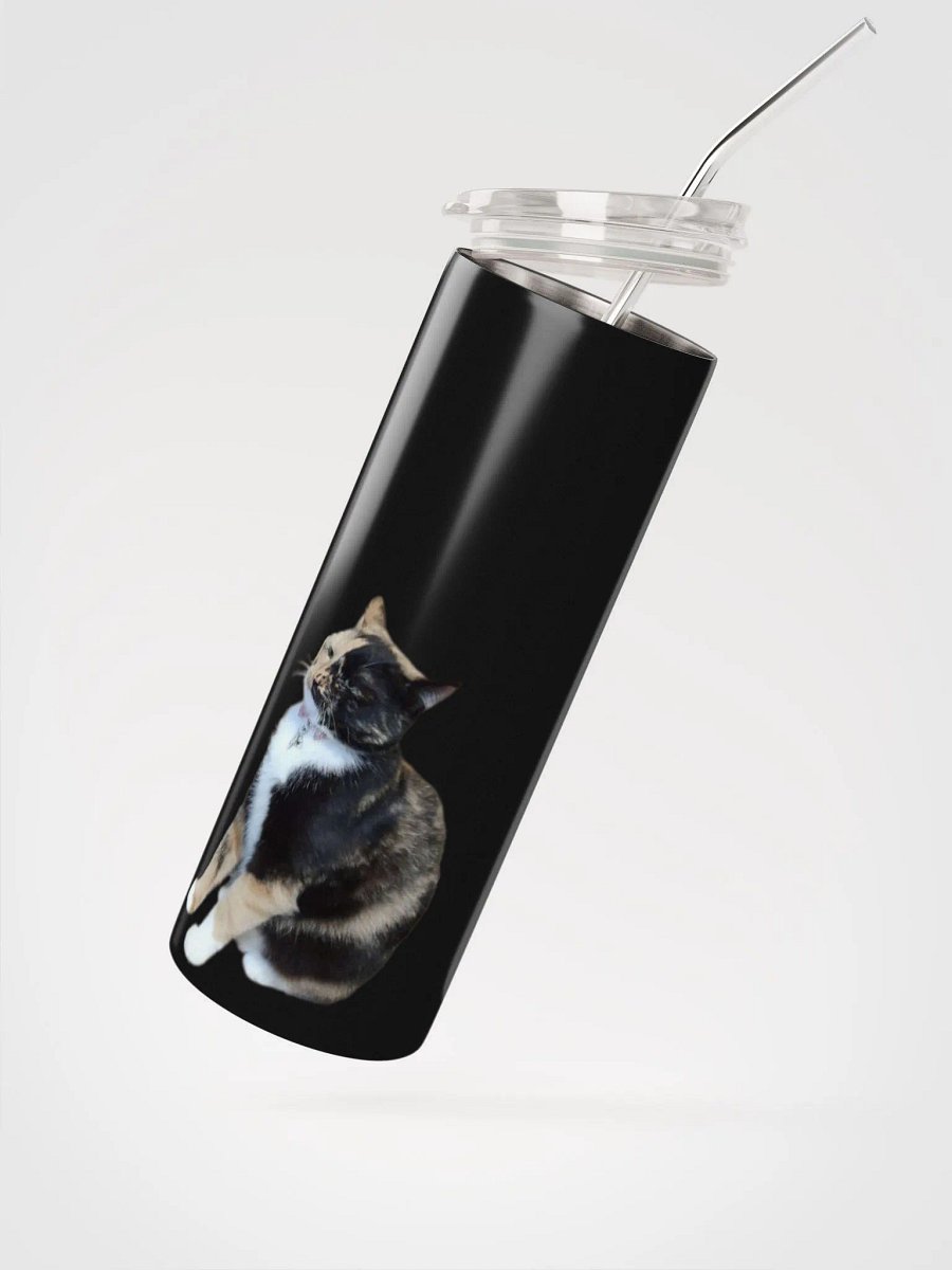 Lyra Judgment Stainless Steel Tumbler product image (2)