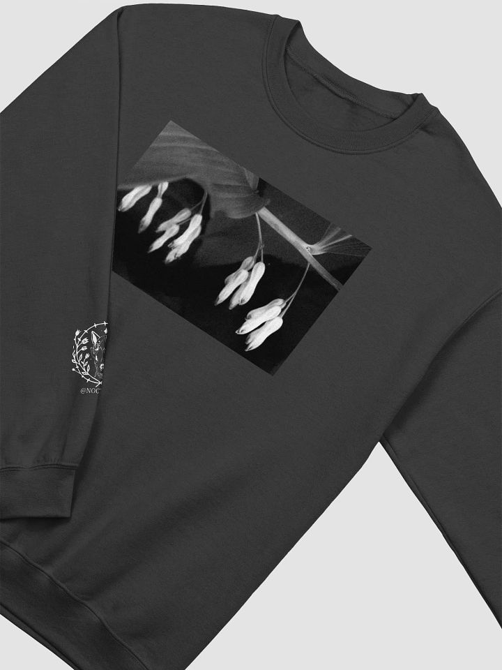 Noctalyx Becoming product image (5)