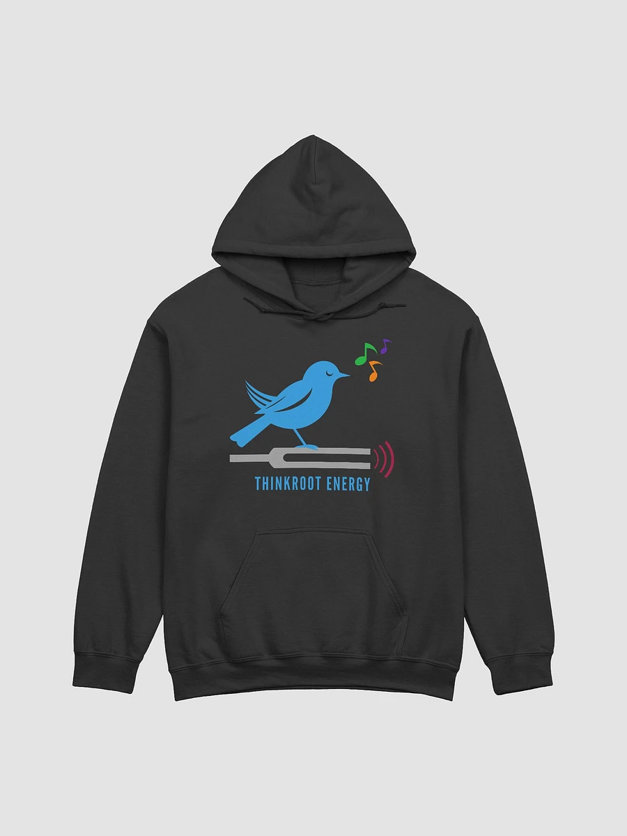 Birdsong + Tuning Forks Hoodie product image (5)
