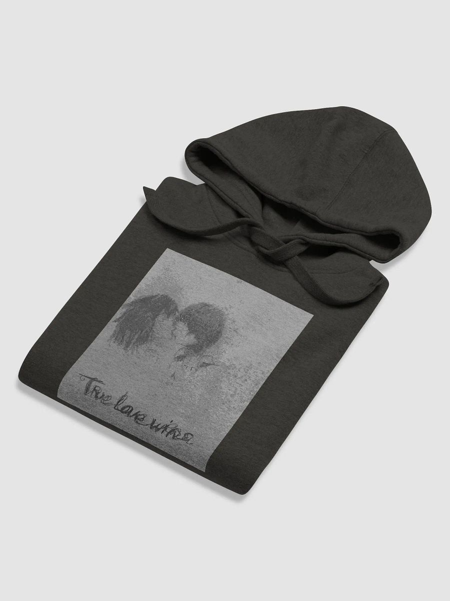FUJOSHI HOODIE!!! product image (3)