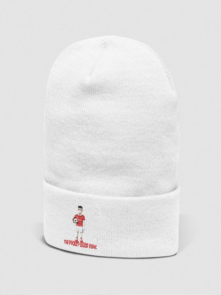 The Pocket-Sized Vidic Beanie product image (13)