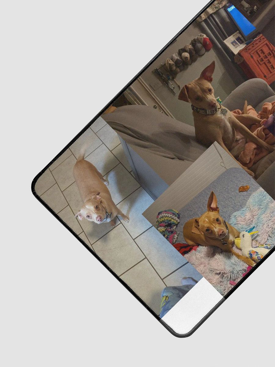 Yoda the Dog product image (3)